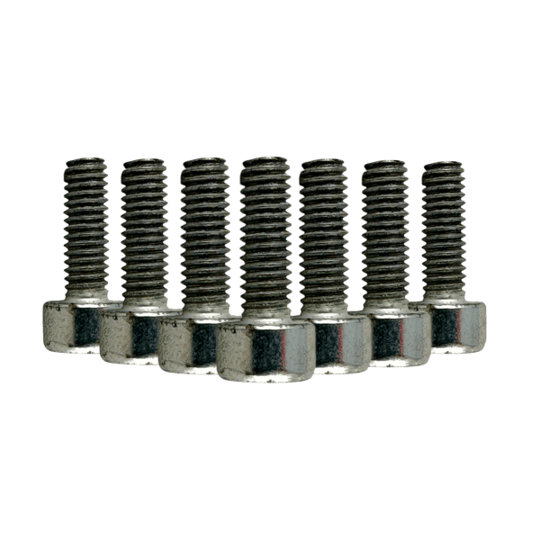 10 PERNOS TORX RAISMAN® M4 HILO 11MM Ø4MM